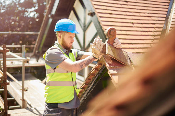 Roof Gutter Cleaning in Anderson, SC